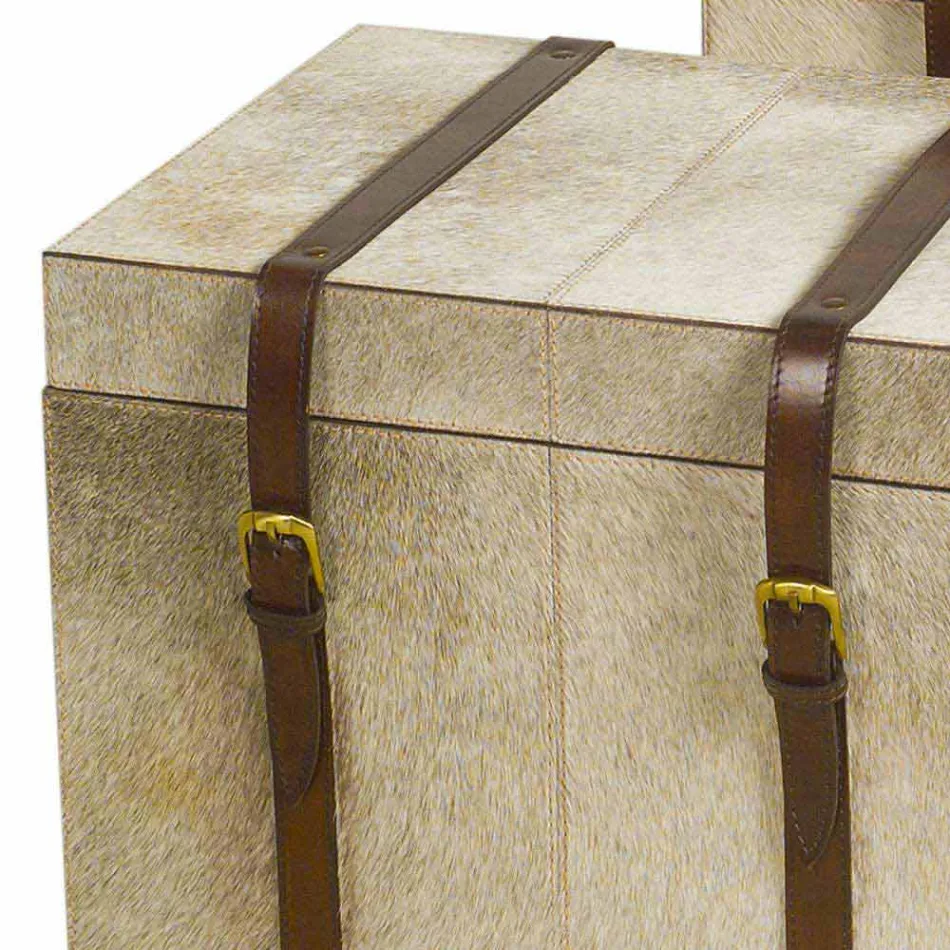 2 de proiectare în ponei gri trunchiuri Ritini, mari și mici Viadurini