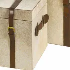 2 de proiectare în ponei gri trunchiuri Ritini, mari și mici Viadurini