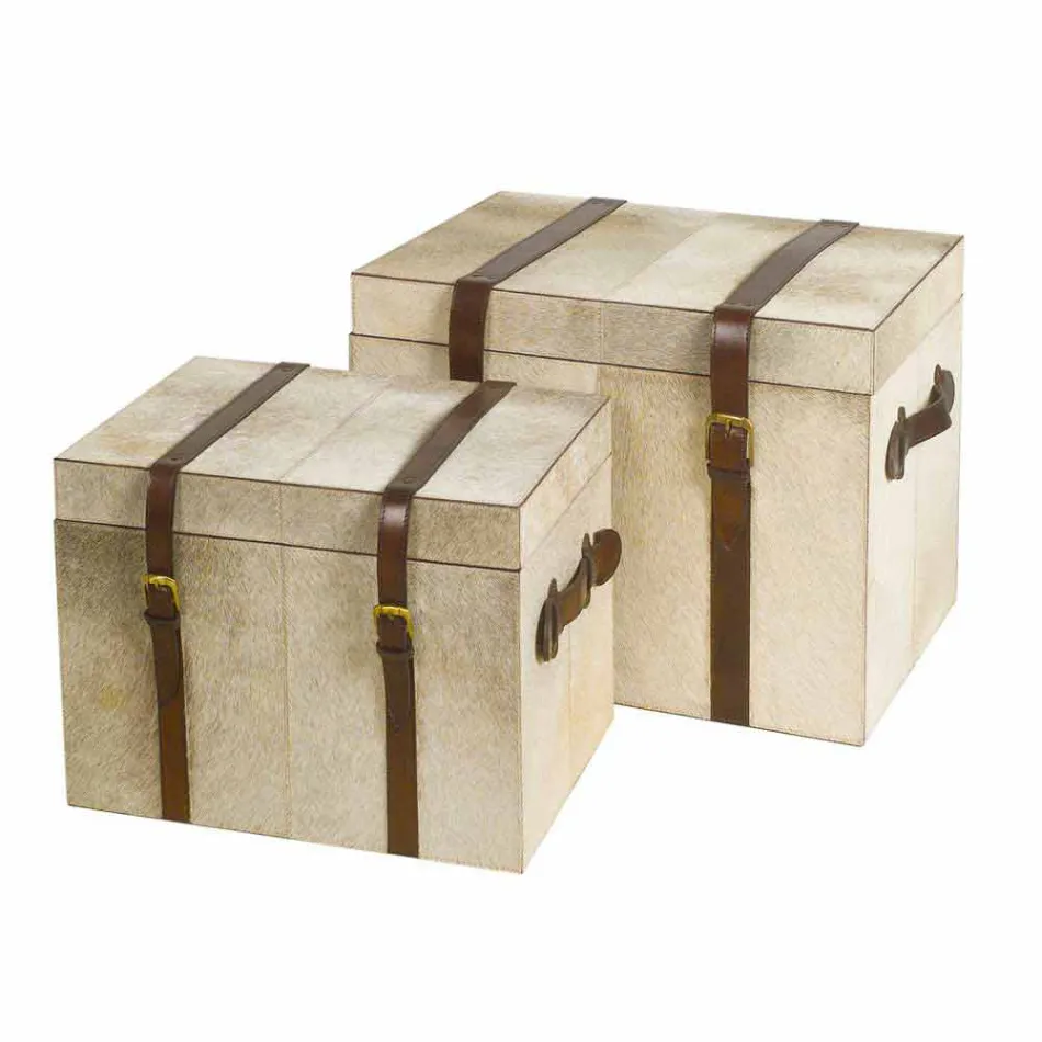 2 de proiectare în ponei gri trunchiuri Ritini, mari și mici Viadurini