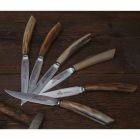6 cuțite de bucătărie artizanale cu mâner din corn de bou Fabricate în Italia - Marine Viadurini