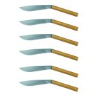 6 cuțite ergonomice pentru friptură cu lamă de oțel fabricate în Italia - rechin Viadurini