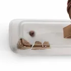 Aplice două spoturi luminoase meserii Amelia Ferroluce Viadurini