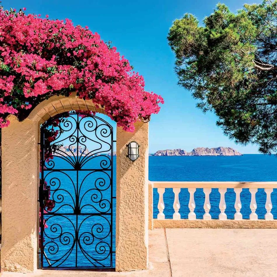 Aplica de exterior vintage din alamă cu sticlă opal/transparentă - Siren Viadurini