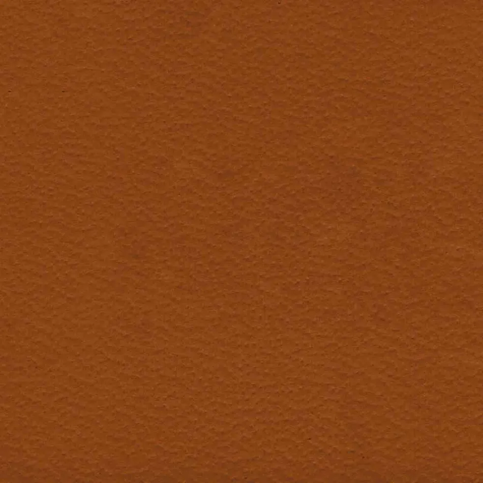 Scaun Audrey cu design modern din piele, fabricat în Italia Viadurini