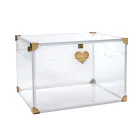 Cufăr de depozitare din plexiglas cu detalii aurii, fabricat în Italia - Briseide Viadurini