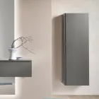 Cuier de haine din melamină lăcuită cu ușă din MDF și raft interior - Lunis Viadurini