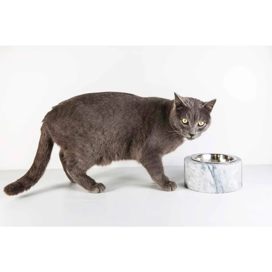 Câini și pisici Bol în marmură albă Carrara Fabricat în Italia - Ciotta Viadurini