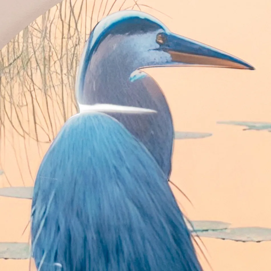 Compoziție de tablouri din lemn cu imprimeu de păsări Made in Italy - Belize Viadurini