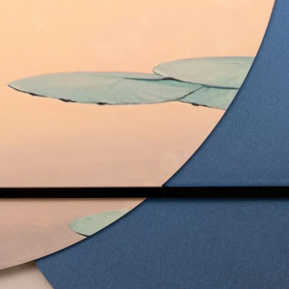 Compoziție de tablouri din lemn cu imprimeu de păsări Made in Italy - Belize Viadurini