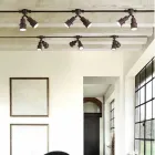 compozitii personalizate, CERERI Viadurini