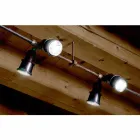 compozitii personalizate, CERERI Viadurini