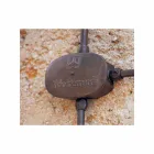 compozitii personalizate, CERERI Viadurini