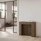 Consola extensibila pana la 211 cm in panouri melaminate Made in Italy - Principessa Viadurini