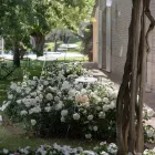 Lampa de gradina Aluminiu Design Alb cu Frunza de Nufar - Cipriam Viadurini