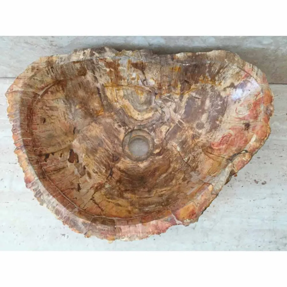 Stelute stand din lemn fosil de baie baie, bucată de design unic Viadurini