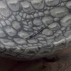 Design chiuvetă ceramică de blat din Italia Animale Viadurini