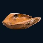 Chiuveta din lemn de tec blat lucrate manual Nemo Viadurini