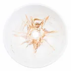 Lavoar cu suport de proiectare în rășină de aur - Dogliola Viadurini