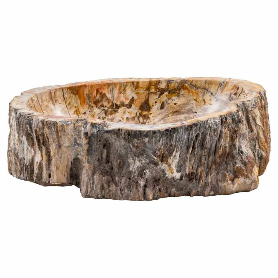 Chiuvetă artizanală din lemn fosil, Neviglie Viadurini