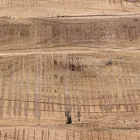 Bufeta din Lemn de Salcam si Otel 2 Usi si 3 Sertare Homemotion - Aimune Viadurini