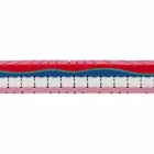 O saltea și jumătate în memoria de lux H 25 cm Made in Italy - Platinum Viadurini