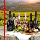 Giveaway exclusiv: 6 sticle de Prosecco DOC drept cadou Viadurini