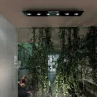 Lampă de tavan cu placă plată din sticlă cu coborâre - Kora Viadurini