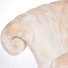 fotoliu prelucrat matlasat blană faux Balma Viadurini