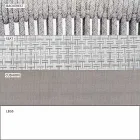 Fotoliu Lounge de grădină Tesatura tapițată și aluminiu - Smart by Varaschin Viadurini