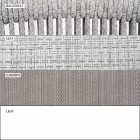 Fotoliu Lounge de grădină Tesatura tapițată și aluminiu - Smart by Varaschin Viadurini