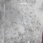 Suport pentru umbrele din cristal acrilic transparent decorat cu laser - Versio Viadurini