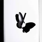 Suport umbrelă din plexiglas negru cu gravuri și decorațiuni 3D, design modern - Farfo Viadurini