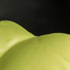 Design piele Faux pouf nautice interioare si exterioare POTUS Viadurini