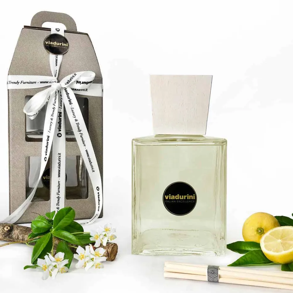 Odorizant de ambianță pentru parfum din piele 2,5 Lt cu bețe - Lavecchiavenezia Viadurini