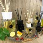 Parfum de cameră rodie 500 ml cu bețe - Soledipantelleria Viadurini
