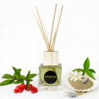 Ambient Fragrance Vanilie și Mou 200 ml cu Bastoane - Sabbiedelsalento Viadurini