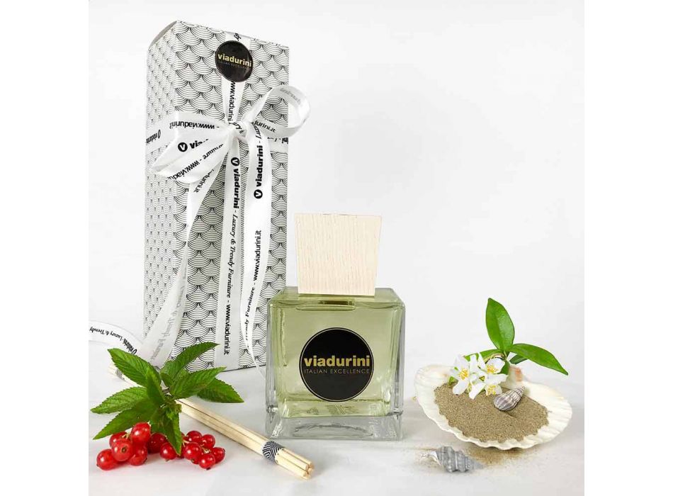 Parfum de cameră Vanilie și Mou 500 ml cu bețe - Sabbiedelsalento Viadurini