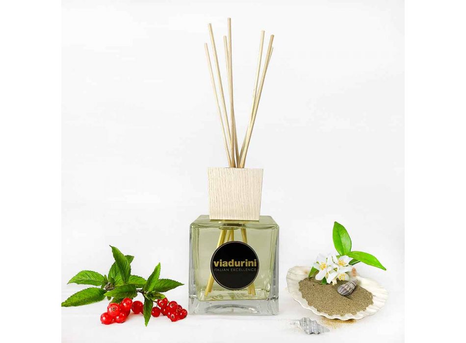 Parfum de cameră Vanilie și Mou 500 ml cu bețe - Sabbiedelsalento Viadurini