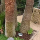 Spot rotund cu LED pentru exterior din oțel inoxidabil - Dakota Viadurini