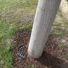 Proiector LED de exterior 9W cu finisaj aluminiu negru mat - Tudor Viadurini