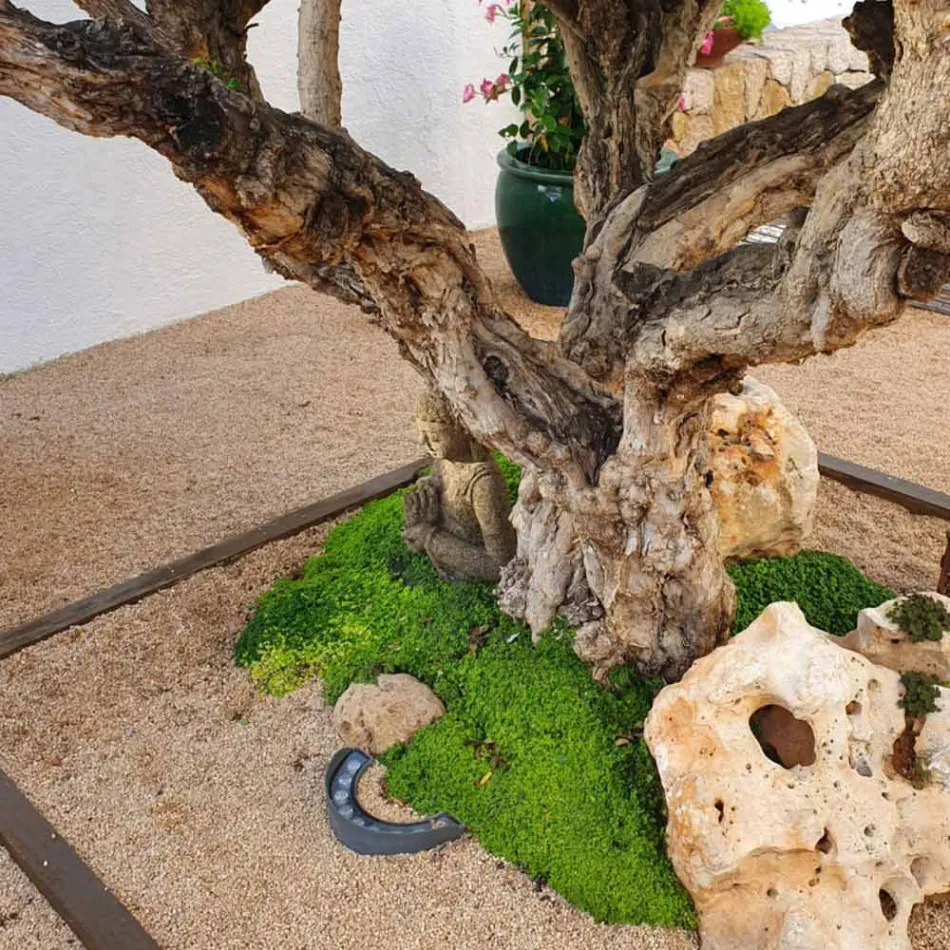 Proiector LED de exterior 9W cu finisaj aluminiu negru mat - Tudor Viadurini