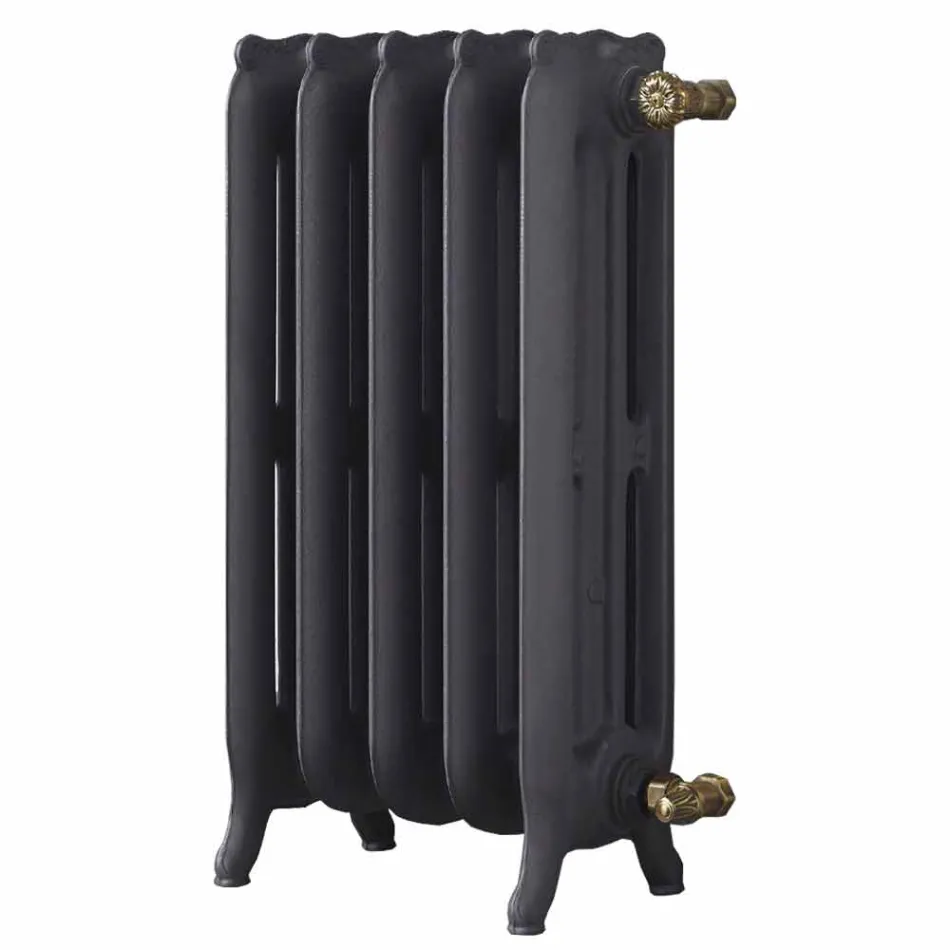 Radiator de design 5 elemente netede din fontă de la sol până la 1062 W - baroc Viadurini