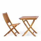 Scaun pliabil de exterior din lemn de salcâm, 2 bucăți - Grima Viadurini