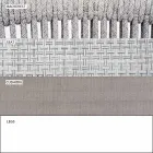 Scaun exterior cu cotiere Stivuabil tapițat H 78cm - Smart by Varaschin Viadurini