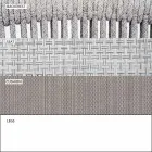 Scaunul de stivuit în aer liber cu cotierele captusite H 73cm - Smart by Varaschin Viadurini