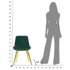 Scaun tapițat de sufragerie din lemn și țesături, 2 piese - Kolly Viadurini