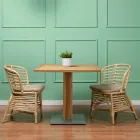 Scaun pentru Gradina din Rattan Natural cu Perna Inclusa - Torvi Viadurini