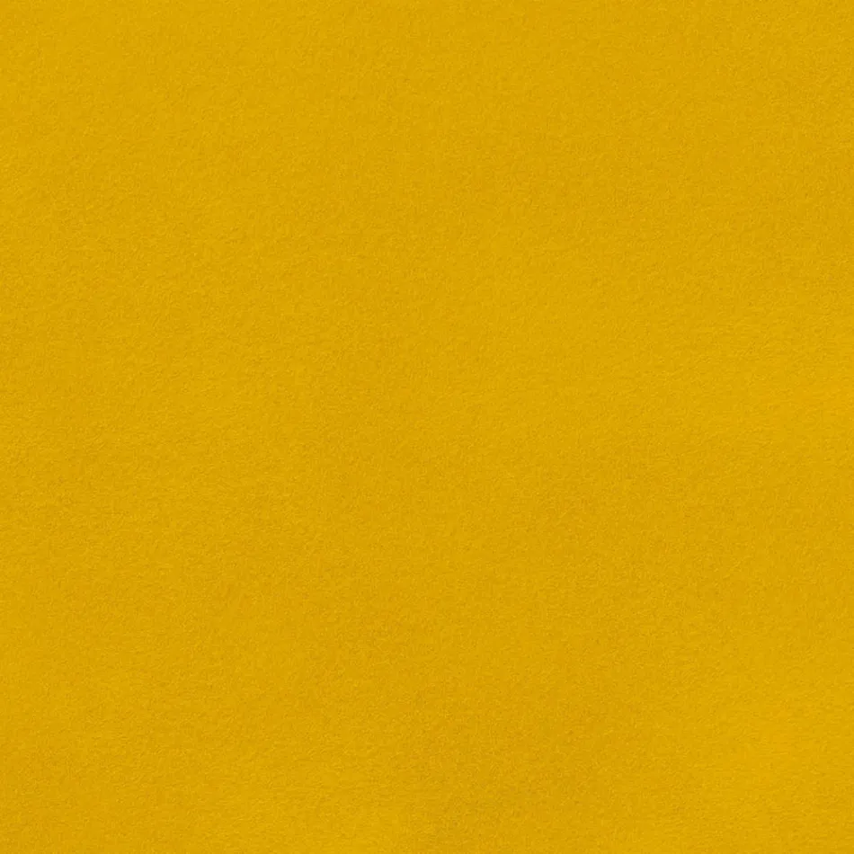 Scaun de sufragerie din catifea cu picioare din metal negru, 4 bucăți - Hanna Viadurini