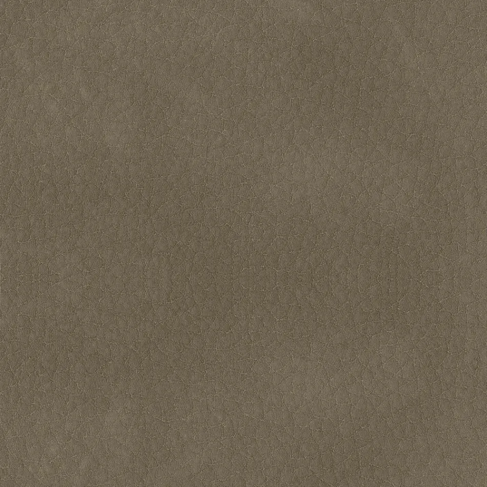 Scaun de Sufragerie Imbracat in Ecopiele Made in Italy - Giulia Viadurini