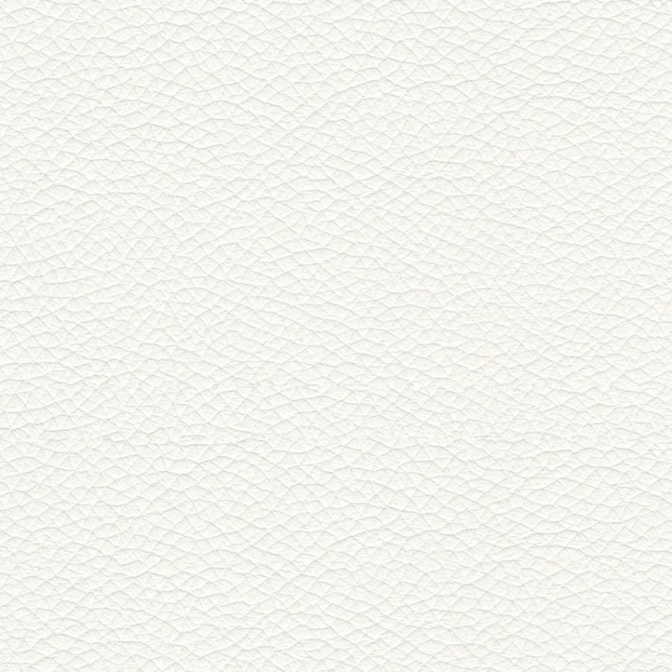 Scaun de Sufragerie cu Scaun Imbracat in Piele Made in Italy - Giulia Viadurini